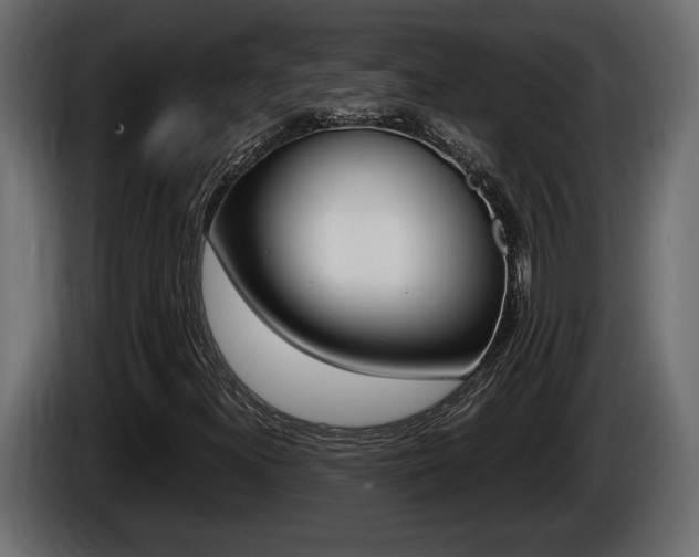 X0000086761300200704130805