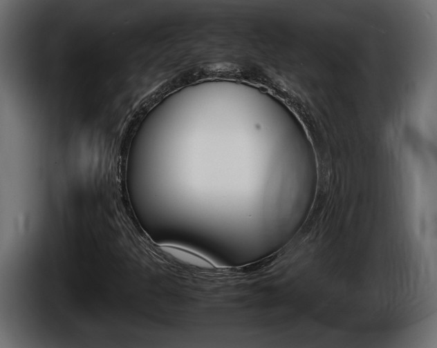 X0000086761301200704130805