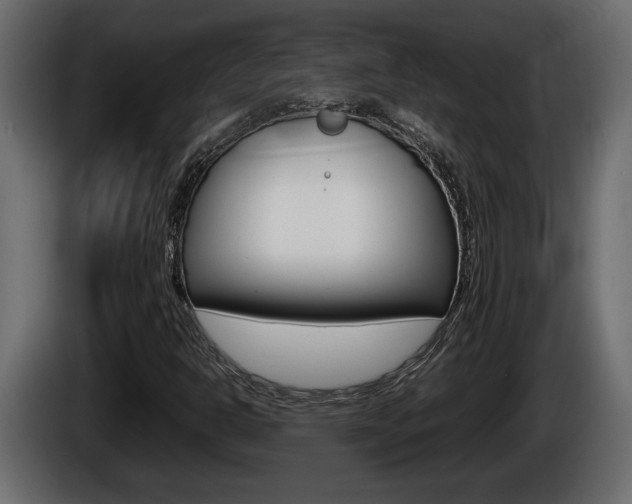X0000086761302200704130805