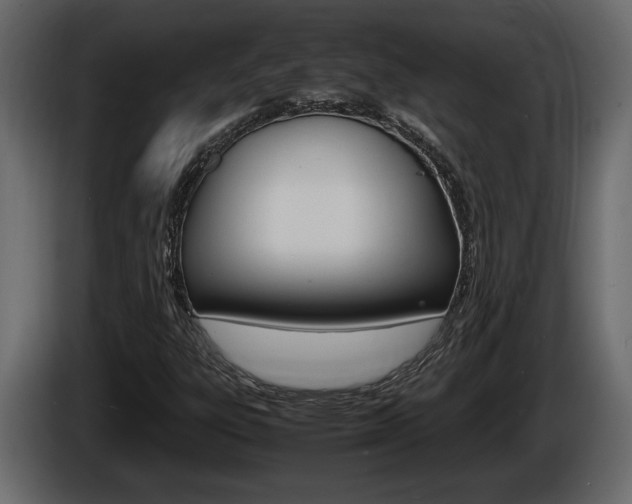 X0000086761303200704130805