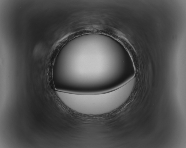 X0000086761304200704130805