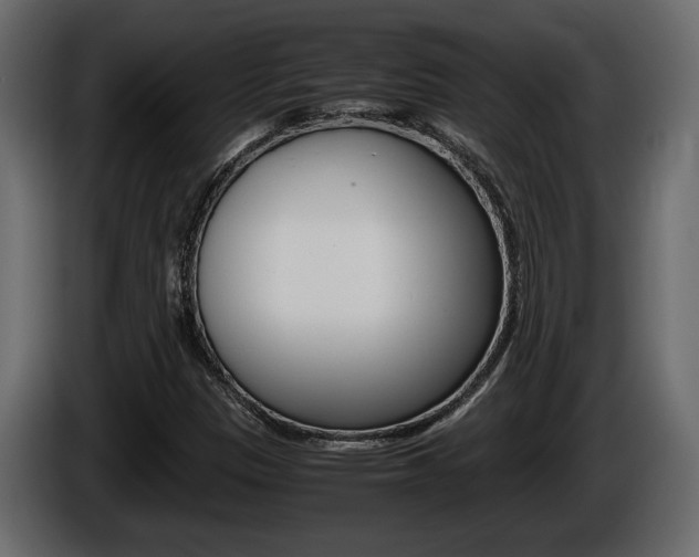 X0000086761305200704130805