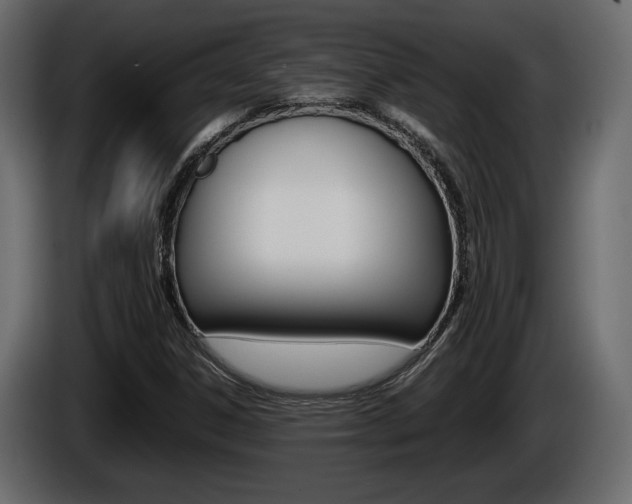 X0000086761306200704130805