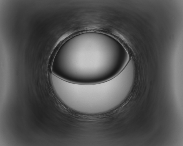 X0000086761308200704130805