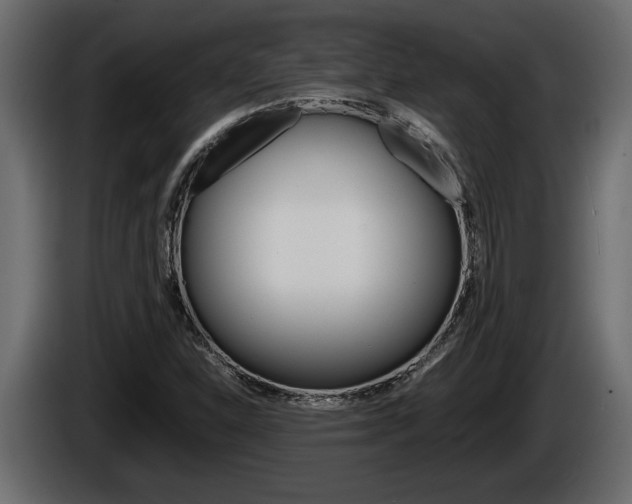 X0000086761310200704130805