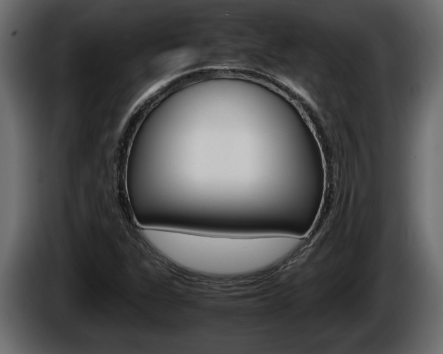 X0000086761311200704130805