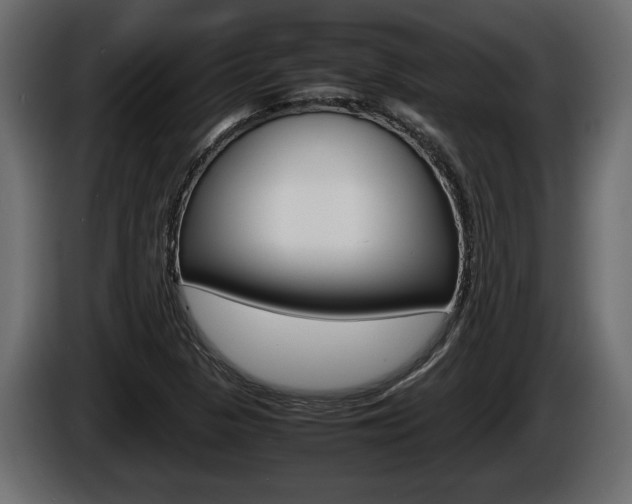 X0000086761313200704130805