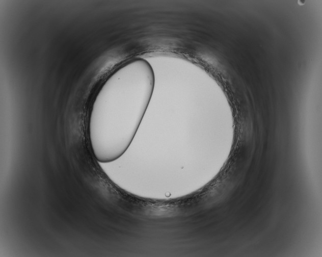 X0000086761314200704130805
