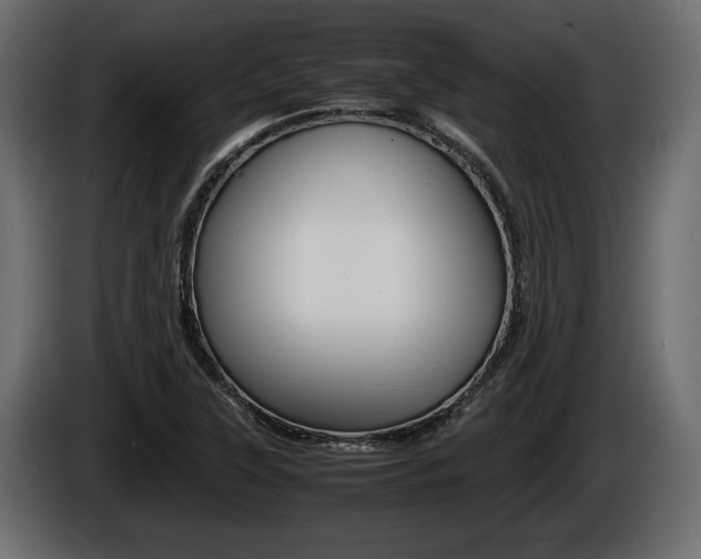 X0000086761315200704130805