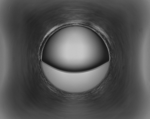 X0000086761316200704130805