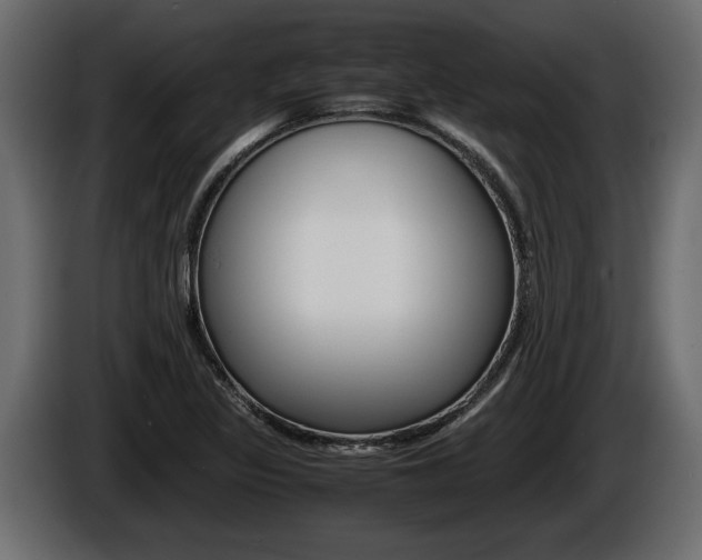 X0000086761317200704130806