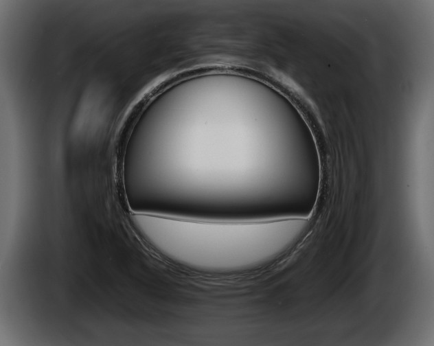 X0000086761318200704130806