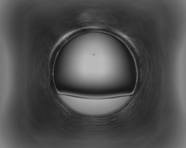 X0000086761319200704130806