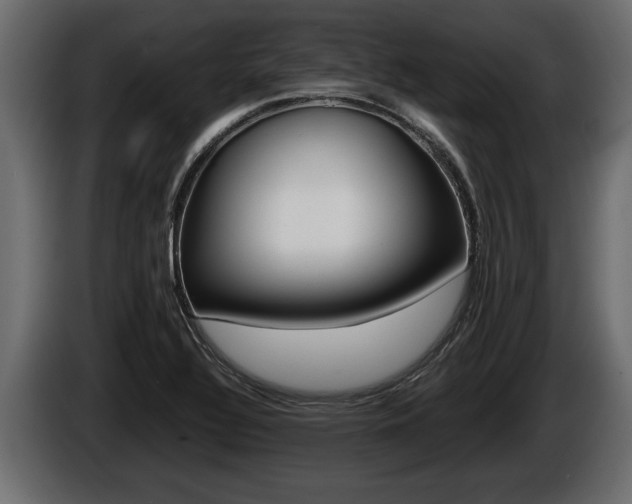 X0000086761320200704130806