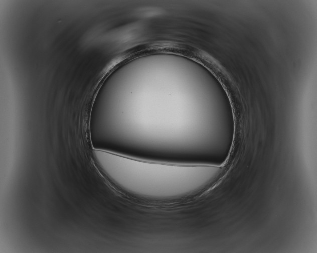 X0000086761321200704130806