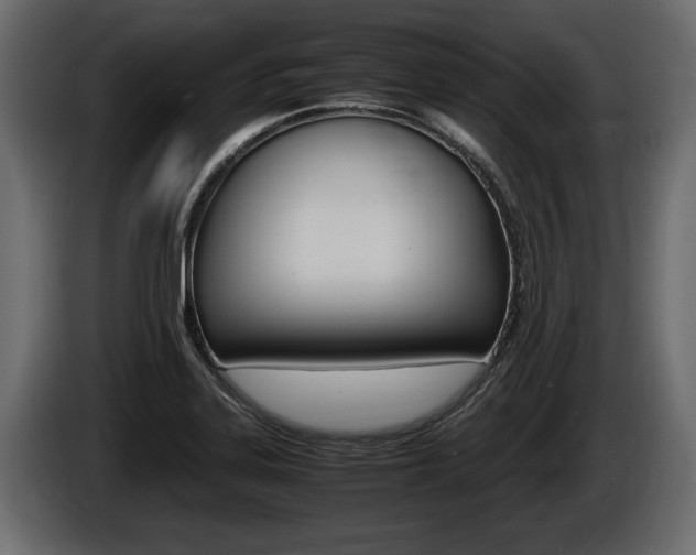 X0000086761323200704130806