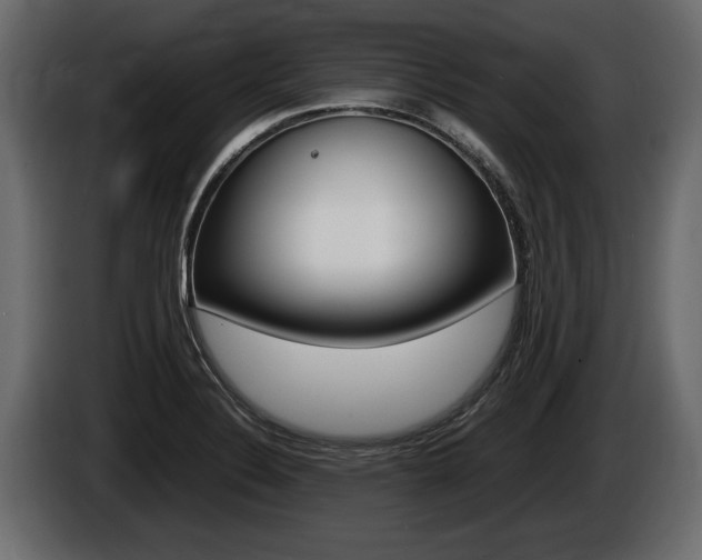 X0000086761324200704130806