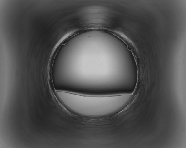 X0000086761325200704130806