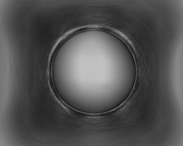 X0000086761327200704130806