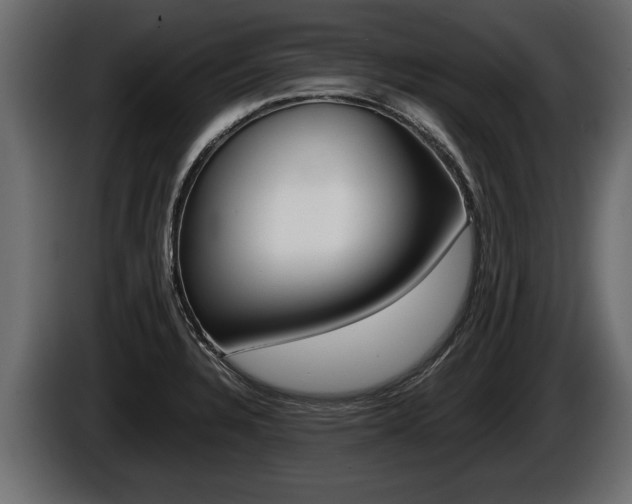 X0000086761328200704130806