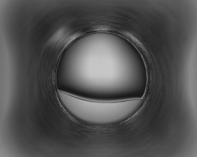 X0000086761329200704130806