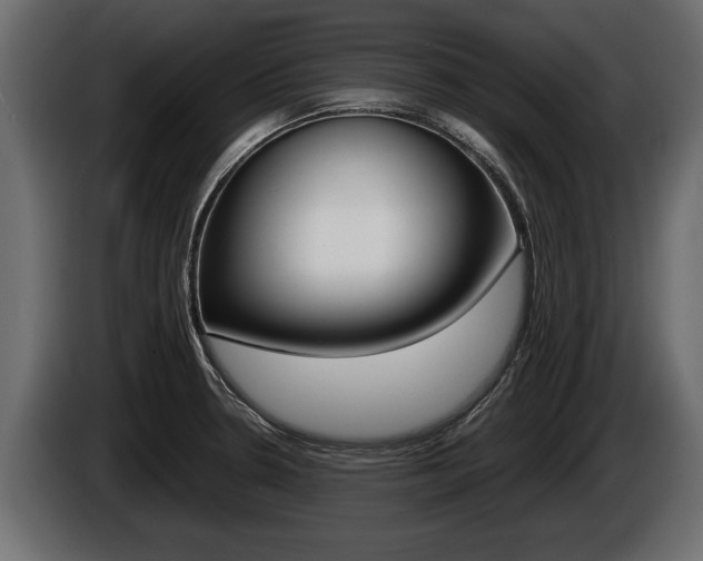 X0000086761330200704130806