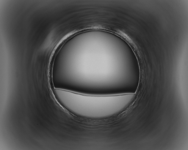 X0000086761331200704130806