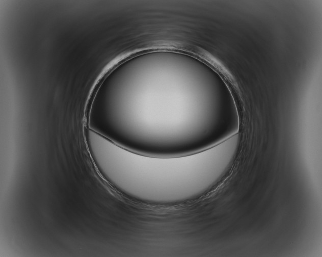 X0000086761332200704130806