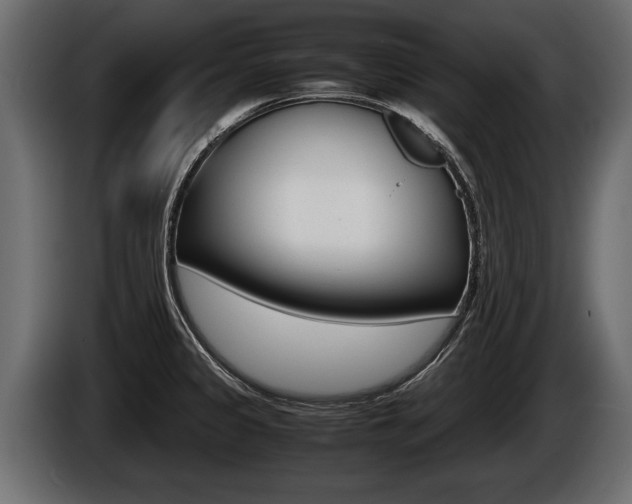 X0000086761333200704130806