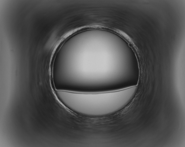 X0000086761335200704130806