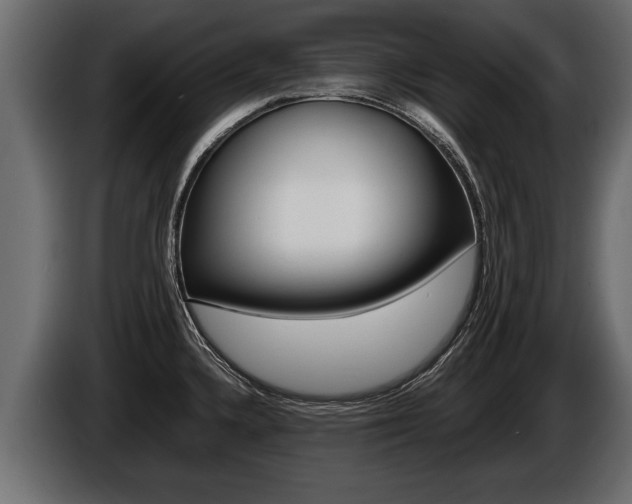 X0000086761336200704130806