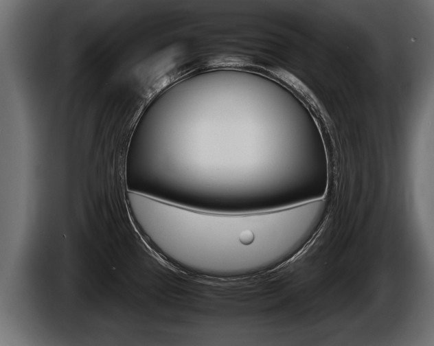 X0000086761337200704130806