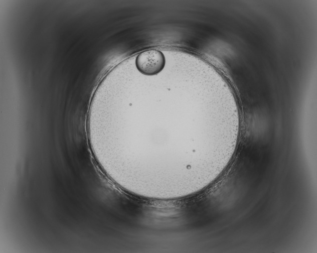 X0000086761338200704130806