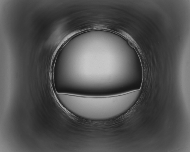 X0000086761339200704130806
