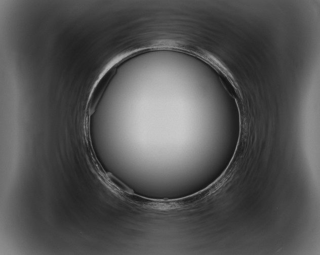 X0000086761340200704130806