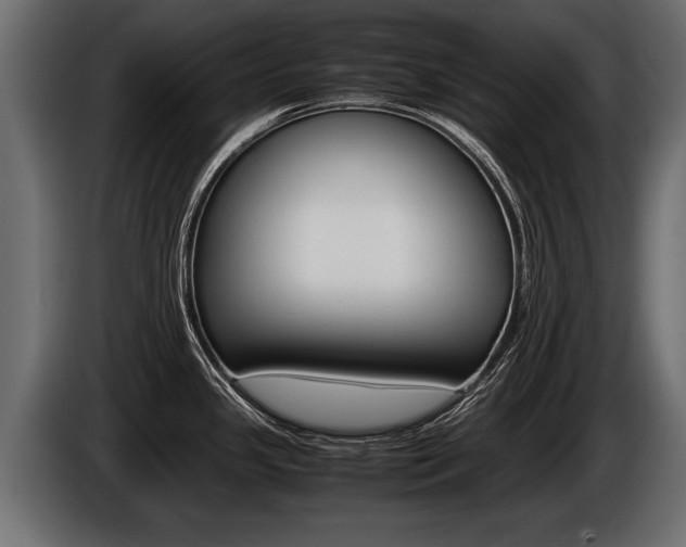 X0000086761341200704130806