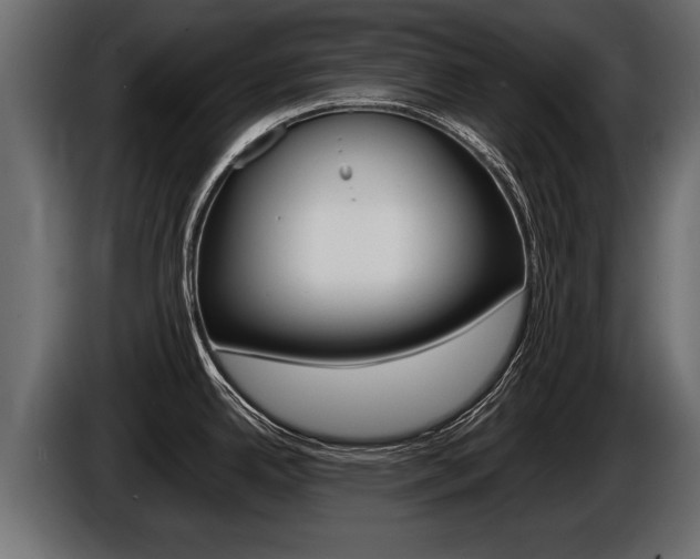 X0000086761342200704130806
