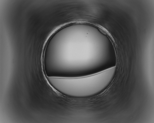 X0000086761343200704130806