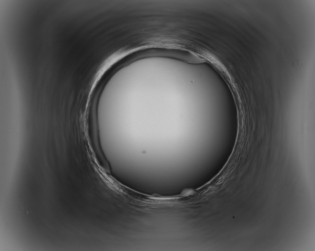 X0000086761344200704130806