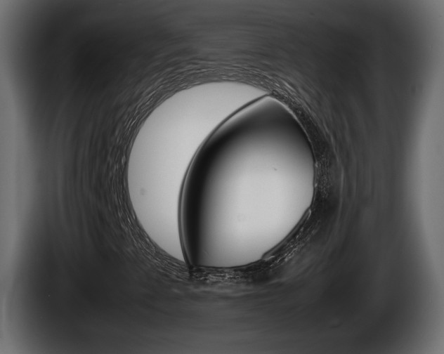 X0000086761345200704130805