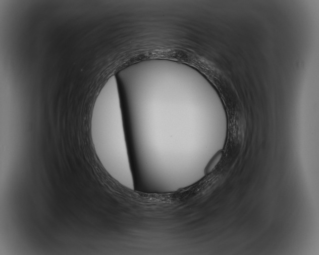 X0000086761346200704130805