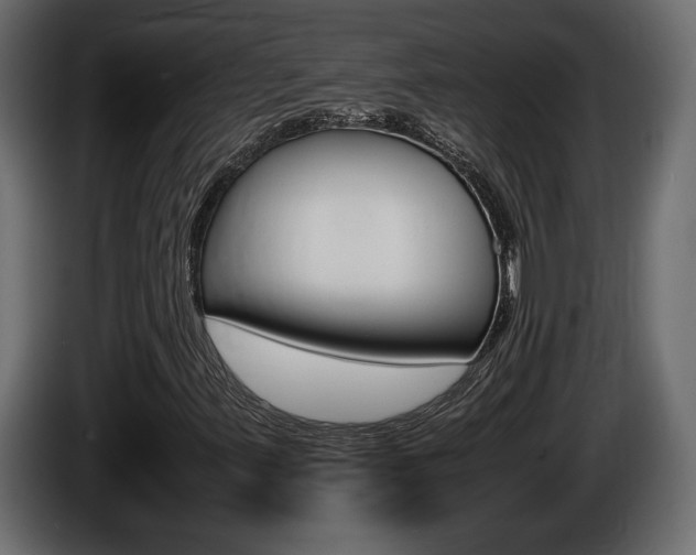 X0000086761347200704130805