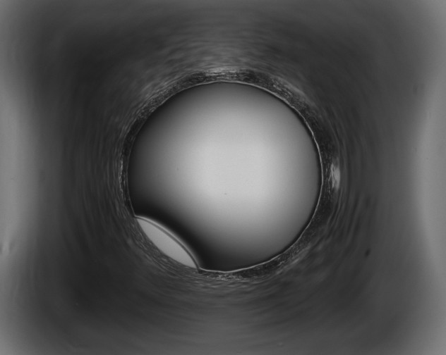 X0000086761348200704130805