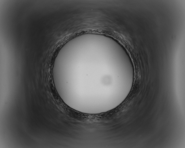 X0000086761350200704130805