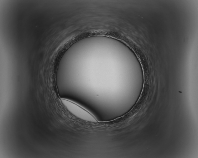X0000086761351200704130805
