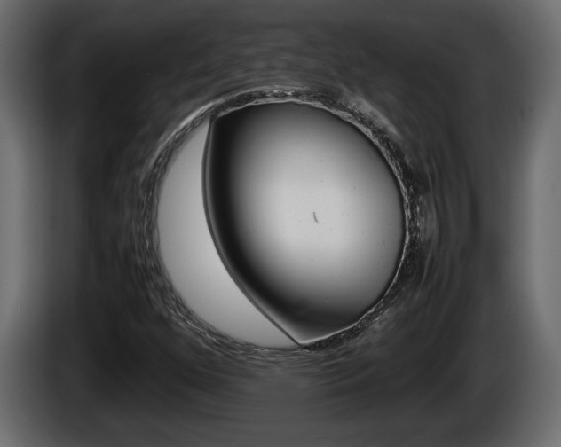 X0000086761352200704130805