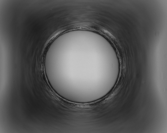 X0000086761354200704130805