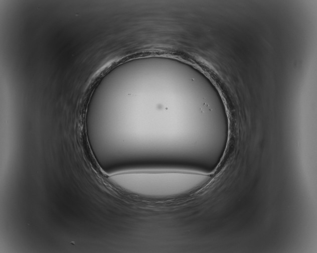 X0000086761355200704130805