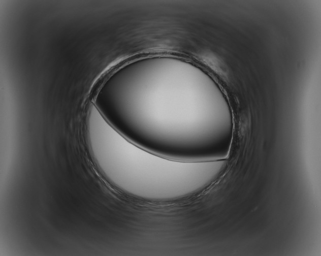 X0000086761356200704130805