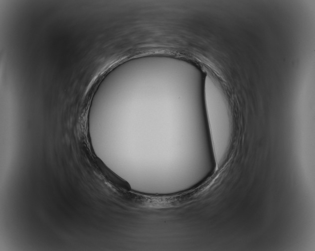 X0000086761357200704130805